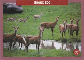 1992 Mundus Amicus Endangered Animals #18 Bronx Zoo Front