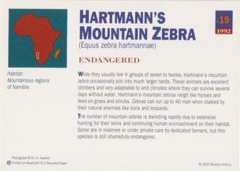 1992 Mundus Amicus Endangered Animals #19 Hartmann's Mountain Zebra Back