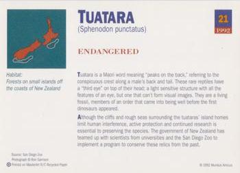 1992 Mundus Amicus Endangered Animals #21 Tuatara Back