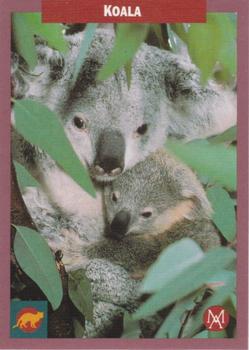 1992 Mundus Amicus Endangered Animals #24 Koala Front