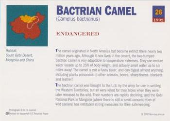 1992 Mundus Amicus Endangered Animals #26 Bactrian Camel Back