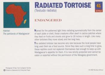 1992 Mundus Amicus Endangered Animals #41 Radiated Tortoise Back