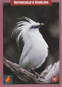1992 Mundus Amicus Endangered Animals #49 Rothschild's Starling Front