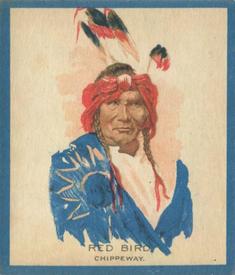 1934 Papoose Gum Indians (V254) #10 Red Bird Front