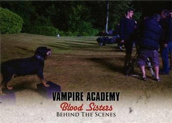 2014 Leaf Vampire Academy: Blood Sisters #87 Behind the Scenes Front
