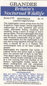 1987 Grandee Britain's Nocturnal Wildlife #14 Nightingale Back