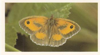 1983 Grandee British Butterflies #4 Gatekeeper or Hedge Brown Front