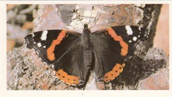 1983 Grandee British Butterflies #8 Red Admiral Front