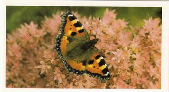 1983 Grandee British Butterflies #10 Small Tortoiseshell Front