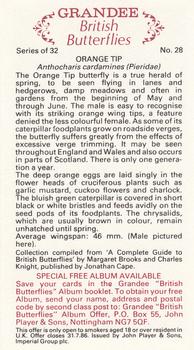 1983 Grandee British Butterflies #28 Orange Tip Back