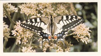 1983 Grandee British Butterflies #30 Swallowtail Front