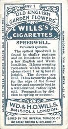 1910 Wills's Old English Garden Flowers #1 Speedwell Back