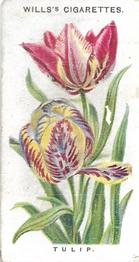 1910 Wills's Old English Garden Flowers #2 Tulip Front