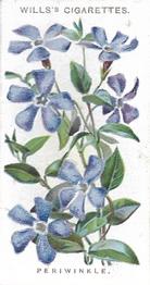 1910 Wills's Old English Garden Flowers #20 Periwinkle Front