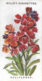 1910 Wills's Old English Garden Flowers #26 Wallflower Front