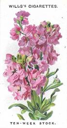 1910 Wills's Old English Garden Flowers #32 Ten-week Stock Front