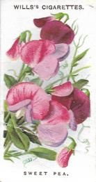 1910 Wills's Old English Garden Flowers #33 Sweet Pea Front
