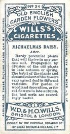1910 Wills's Old English Garden Flowers #34 Michaelmas Daisy Back