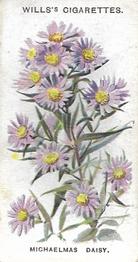1910 Wills's Old English Garden Flowers #34 Michaelmas Daisy Front