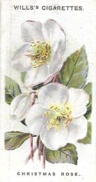 1910 Wills's Old English Garden Flowers #35 Christmas Rose Front
