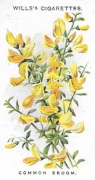 1910 Wills's Old English Garden Flowers #36 Common Broom Front