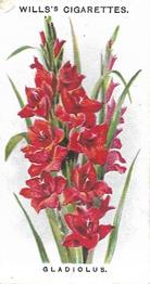 1910 Wills's Old English Garden Flowers #37 Gladiolus Front