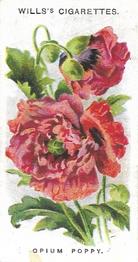 1910 Wills's Old English Garden Flowers #38 Opium Poppy Front