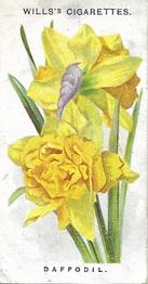 1910 Wills's Old English Garden Flowers #41 Daffodil Front