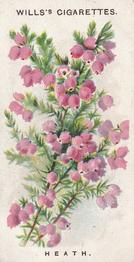 1910 Wills's Old English Garden Flowers #45 Heath Front