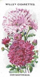 1910 Wills's Old English Garden Flowers #50 Chrysanthemum Front