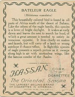 1909-10 Hassan Animal Series (T29) #NNO Bataleur Eagle Back