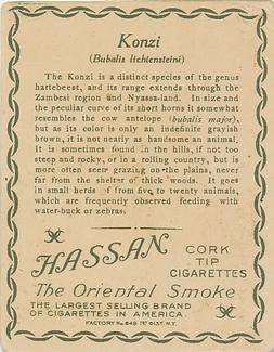 1909-10 Hassan Animal Series (T29) #NNO Konzi Back