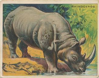 1909-10 Hassan Animal Series (T29) #NNO Rhinoceros Front