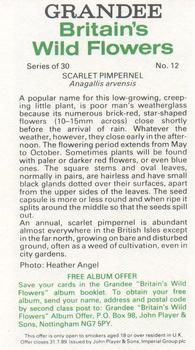 1986 Grandee Britain's Wild Flowers #12 Scarlet Pimpernel Back