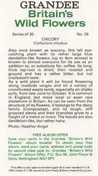 1986 Grandee Britain's Wild Flowers #26 Chicory Back