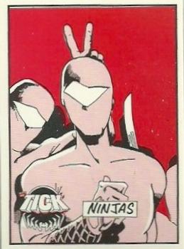 1991 NEC Press The Tick Test Set #9 Ninjas Front