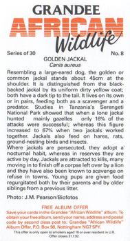 1990 Grandee African Wildlife #8 Golden Jackal Back