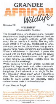 1990 Grandee African Wildlife #23 Wildebeest Back