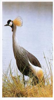 1990 Grandee African Wildlife #25 Crowned Crane Front