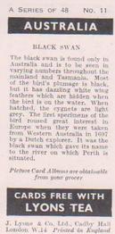 1959 Lyons Tea Australia #11 Black Swan Back