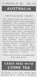 1959 Lyons Tea Australia #24 Shingle-Back Lizard Back
