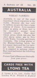 1959 Lyons Tea Australia #36 Wheat Farming Back