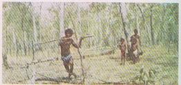 1959 Lyons Tea Australia #47 Aborigines Throwing Spears Front