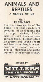 1962 Millers Tea Animals and Reptiles #1 Elephant Back