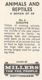 1962 Millers Tea Animals and Reptiles #6 Giraffe Back
