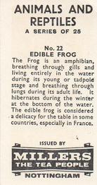 1962 Millers Tea Animals and Reptiles #22 Edible Frog Back