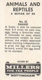 1962 Millers Tea Animals and Reptiles #23 Snake Back