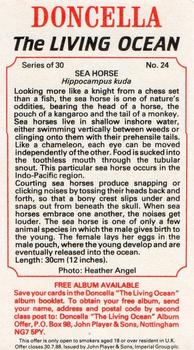 1985 Doncella The Living Ocean #24 Sea Horse Back