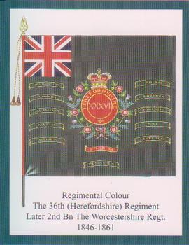 2013 Regimental Colours : Miscellaneous Colours #5 Regimental Colour 36th Foot 1846-1861 Front