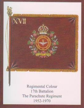 2013 Regimental Colours : Miscellaneous Colours #8 Regimental Colour 17th Bn The Parachute Regiment Front